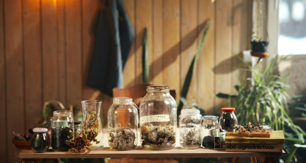 Herbal Balms & Infusions